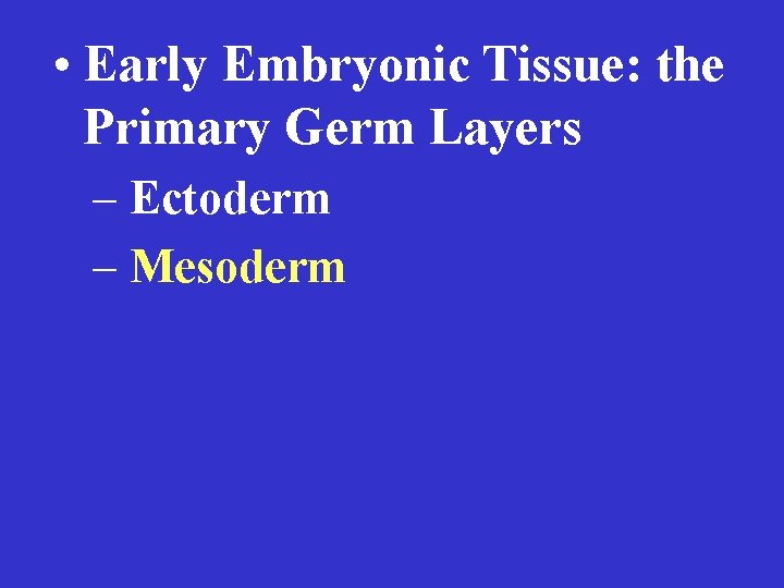  • Early Embryonic Tissue: the Primary Germ Layers – Ectoderm – Mesoderm 