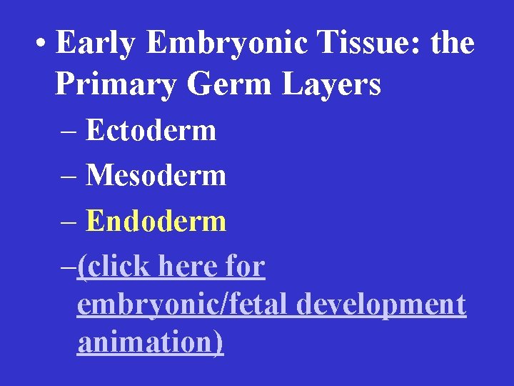  • Early Embryonic Tissue: the Primary Germ Layers – Ectoderm – Mesoderm –