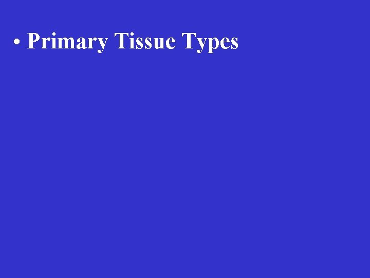  • Primary Tissue Types 