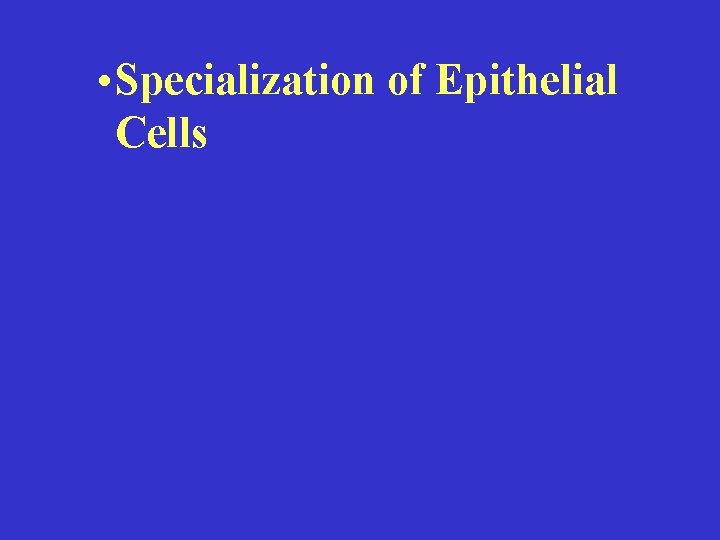  • Specialization of Epithelial Cells 
