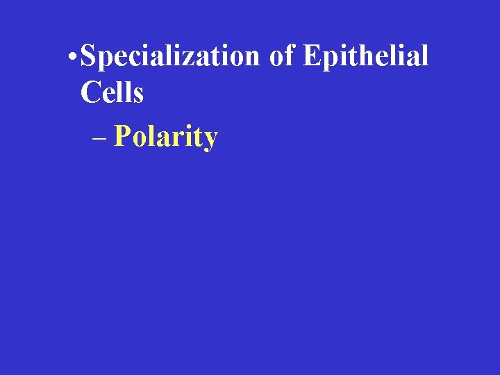  • Specialization of Epithelial Cells – Polarity 