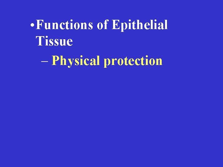  • Functions of Epithelial Tissue – Physical protection 