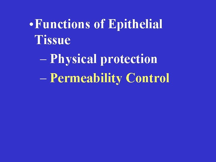  • Functions of Epithelial Tissue – Physical protection – Permeability Control 