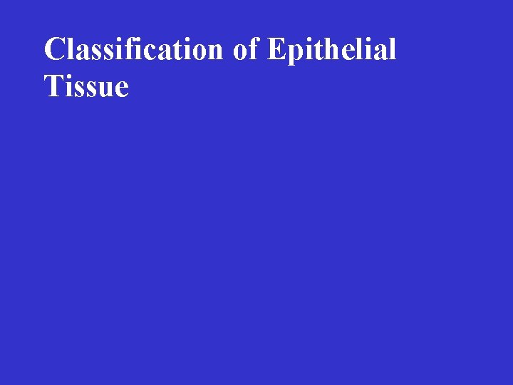 Classification of Epithelial Tissue 