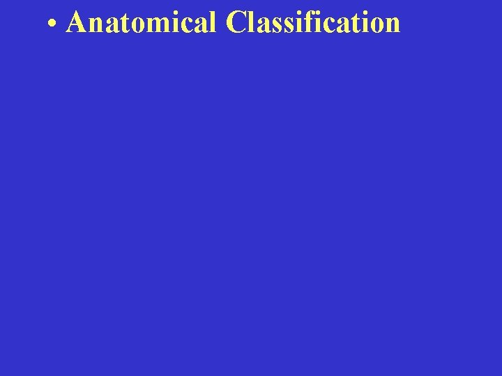  • Anatomical Classification 