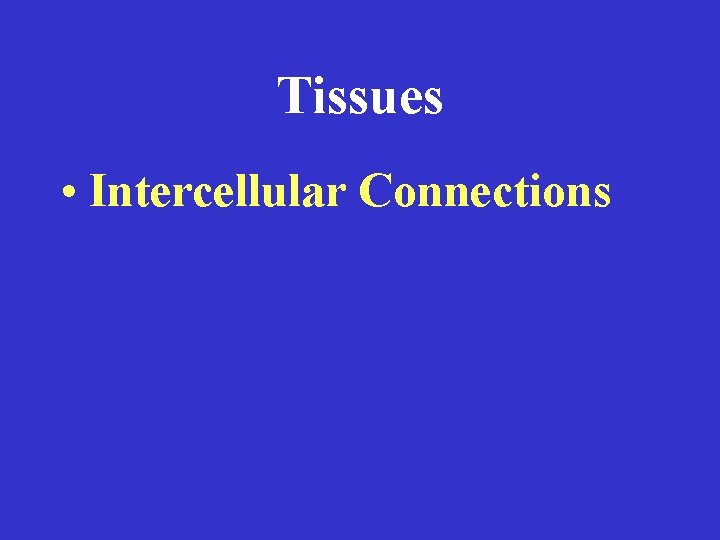 Tissues • Intercellular Connections 