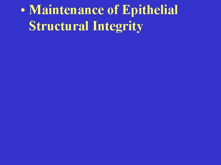  • Maintenance of Epithelial Structural Integrity 