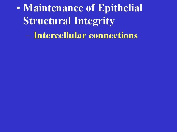  • Maintenance of Epithelial Structural Integrity – Intercellular connections 