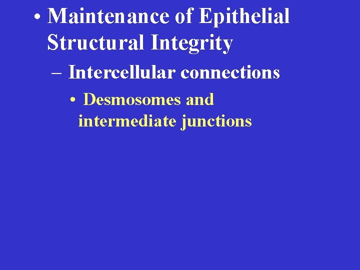  • Maintenance of Epithelial Structural Integrity – Intercellular connections • Desmosomes and intermediate