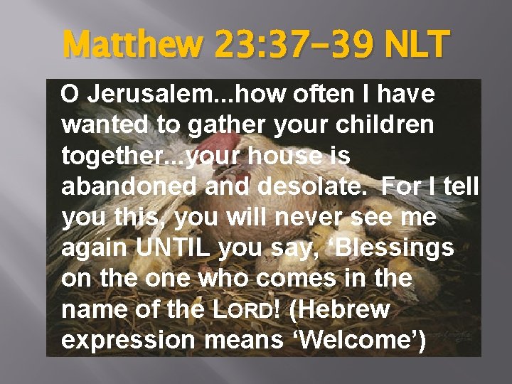 Matthew 23: 37 -39 NLT O Jerusalem. . . how often I have wanted