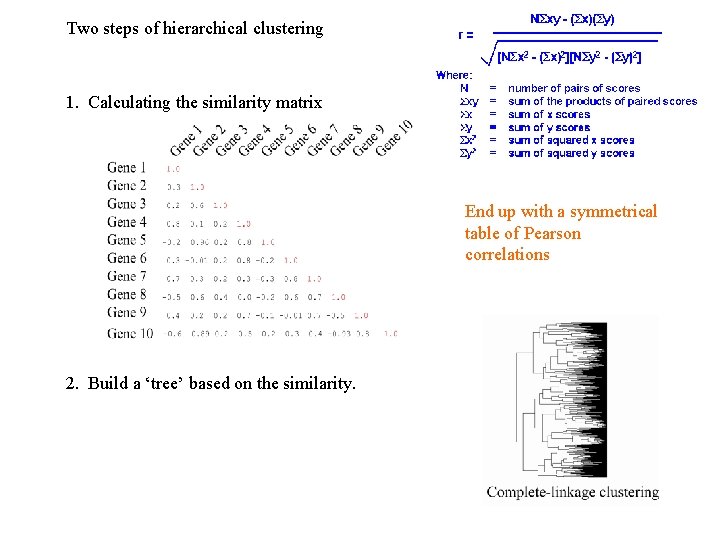 Two steps of hierarchical clustering 1. Calculating the similarity matrix End up with a