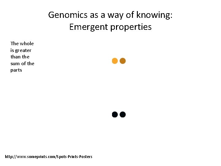 Genomics as a way of knowing: Emergent properties The whole is greater than the