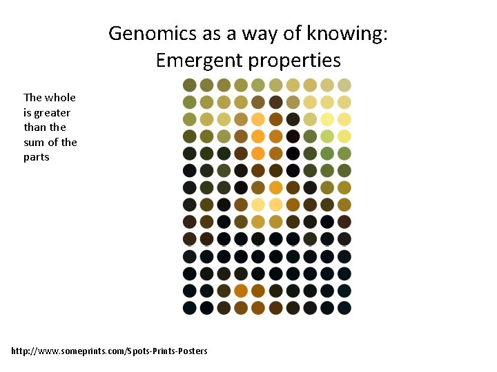 Genomics as a way of knowing: Emergent properties The whole is greater than the