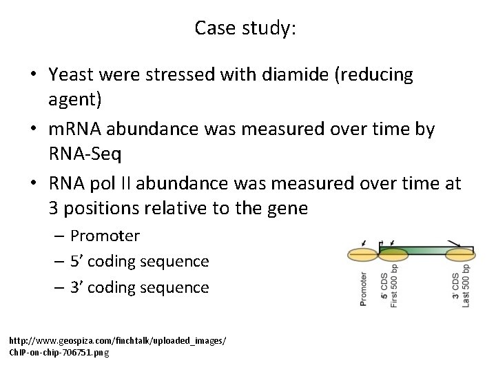 Case study: • Yeast were stressed with diamide (reducing agent) • m. RNA abundance