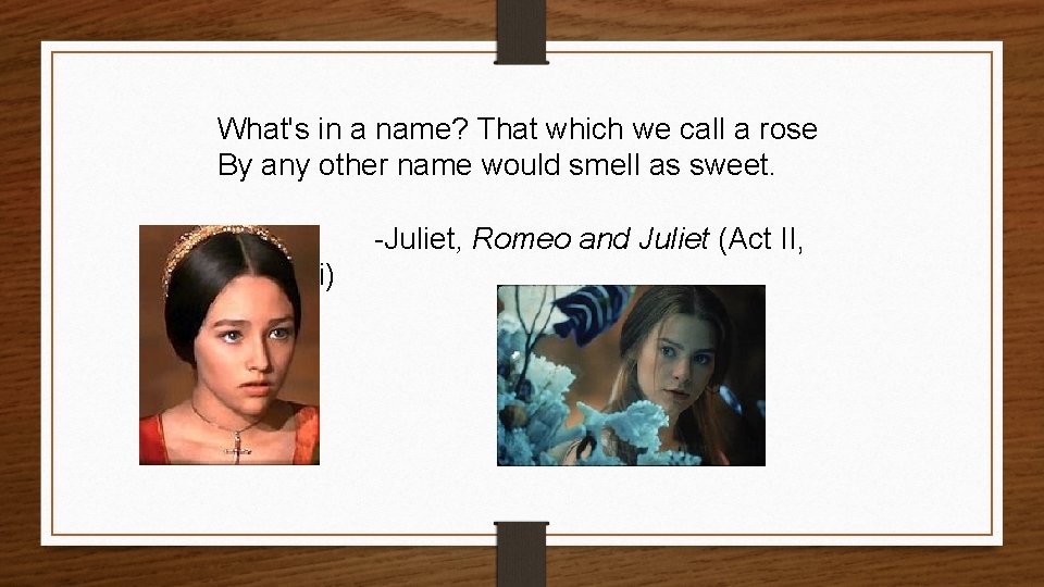 What's in a name? That which we call a rose By any other name
