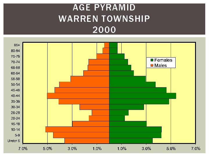 AGE PYRAMID WARREN TOWNSHIP 2000 