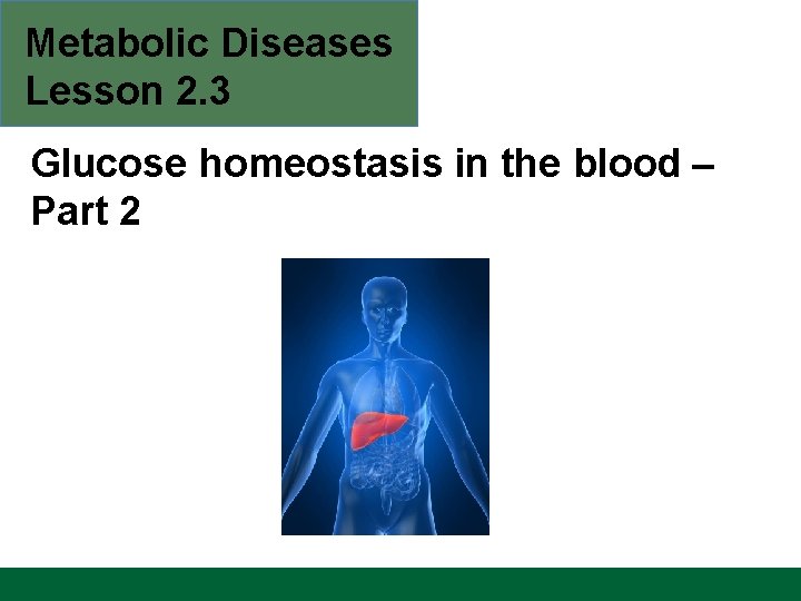 Metabolic Diseases Lesson 2. 3 Glucose homeostasis in the blood – Part 2 