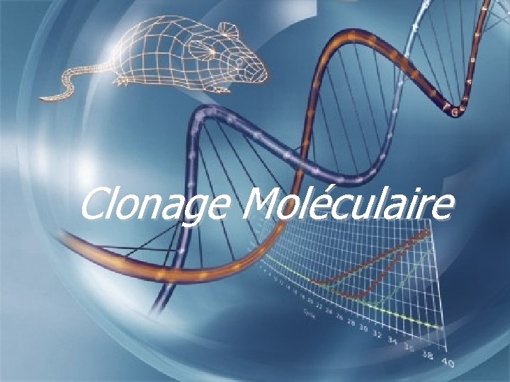 Clonage Moléculaire 