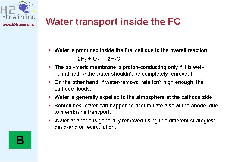 www. h 2 training. eu Water transport inside the FC § Water is produced