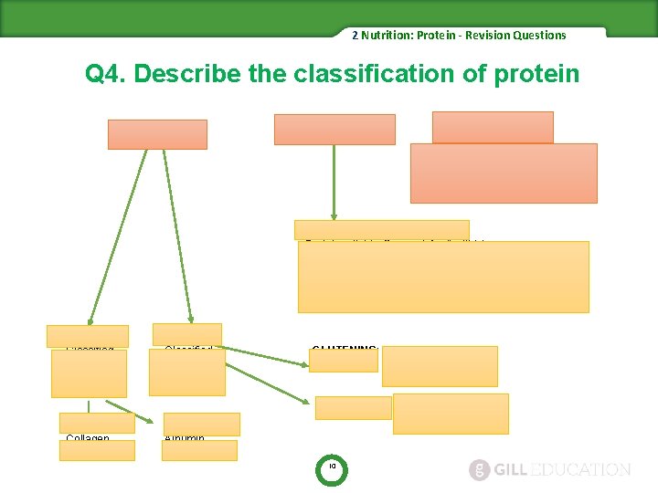 2 Nutrition: Protein - Revision Questions Q 4. Describe the classification of protein SIMPLE