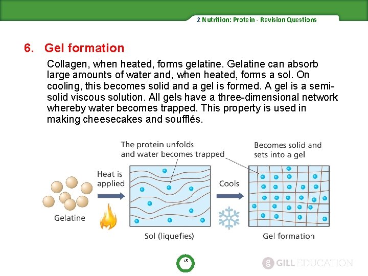 2 Nutrition: Protein - Revision Questions 6. Gel formation Collagen, when heated, forms gelatine.