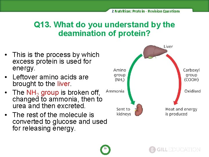 2 Nutrition: Protein - Revision Questions Q 13. What do you understand by the