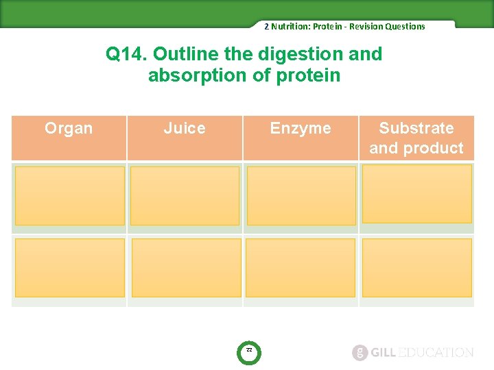 2 Nutrition: Protein - Revision Questions Q 14. Outline the digestion and absorption of