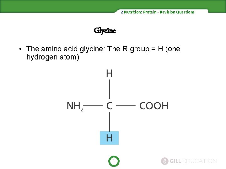 2 Nutrition: Protein - Revision Questions Glycine • The amino acid glycine: The R