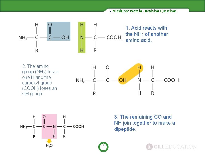 2 Nutrition: Protein - Revision Questions 1. Acid reacts with the NH 2 of