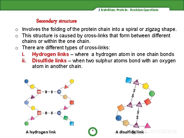 2 Nutrition: Protein - Revision Questions Secondary structure o Involves the folding of the