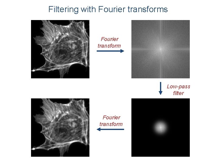 Filtering with Fourier transforms Fourier transform Low-pass filter Fourier transform 