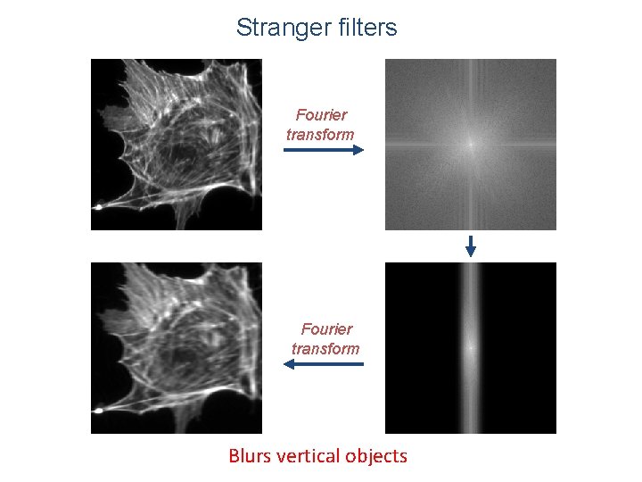 Stranger filters Fourier transform Blurs vertical objects 