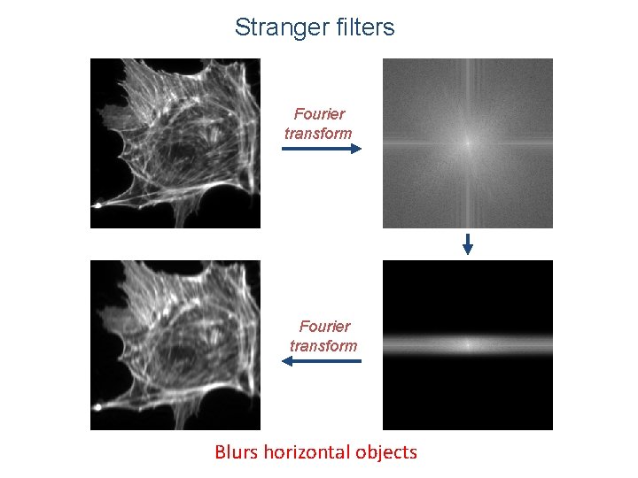 Stranger filters Fourier transform Blurs horizontal objects 