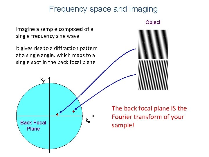Frequency space and imaging Object Imagine a sample composed of a single frequency sine