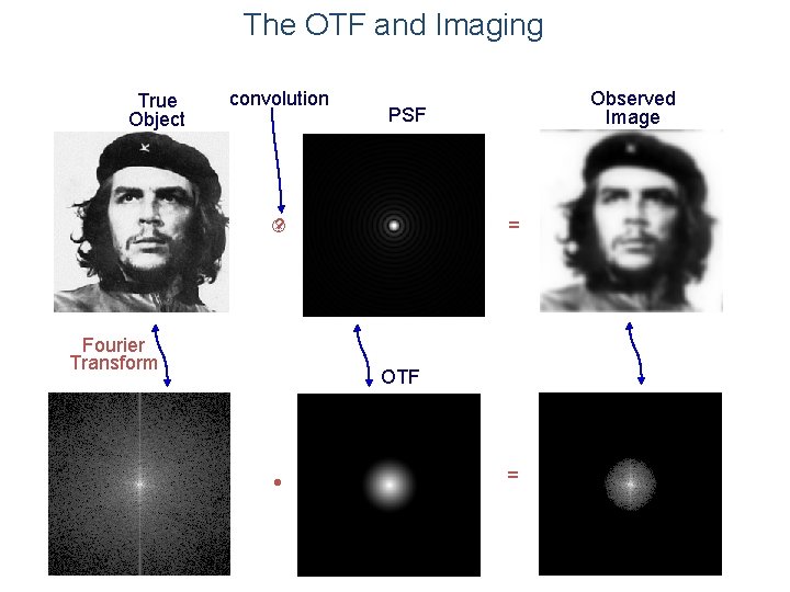 The OTF and Imaging True Object convolution ? Fourier Transform Observed Image PSF ?