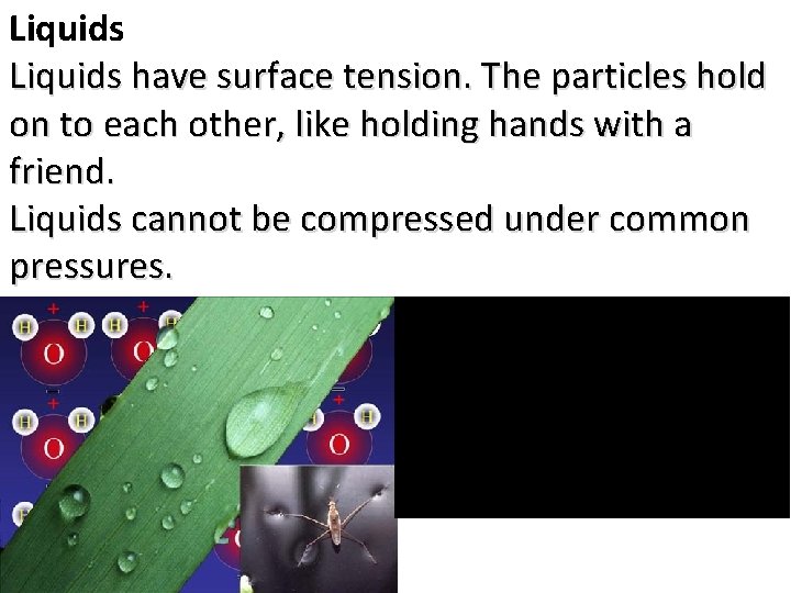 Liquids have surface tension. The particles hold on to each other, like holding hands
