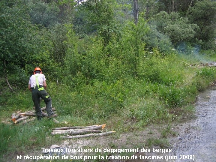 Travaux forestiers de dégagement des berges et récupération de bois pour la création de