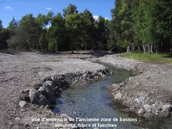 Vue d’ensemble de l’ancienne zone de bassins : sinuosité, blocs et fascines 