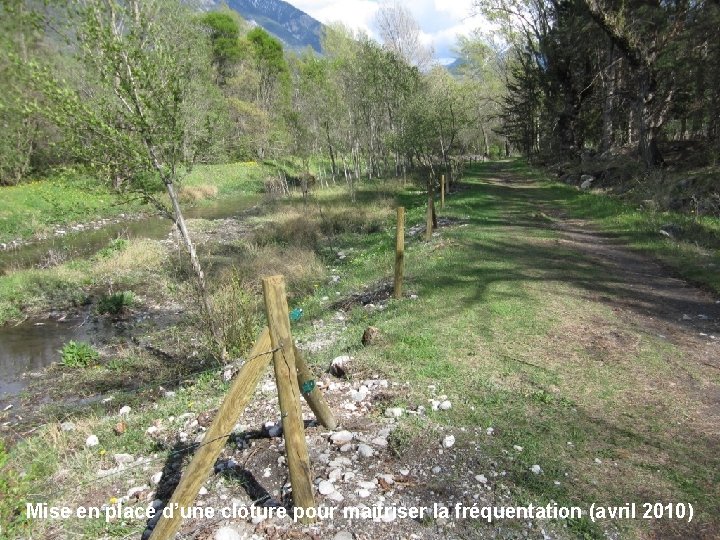 Mise en place d’une clôture pour maîtriser la fréquentation (avril 2010) 