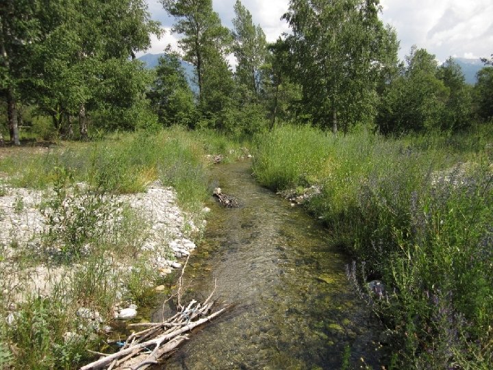 Mise en place de caches à poissons par l’association locale de pêche (juillet 2010)