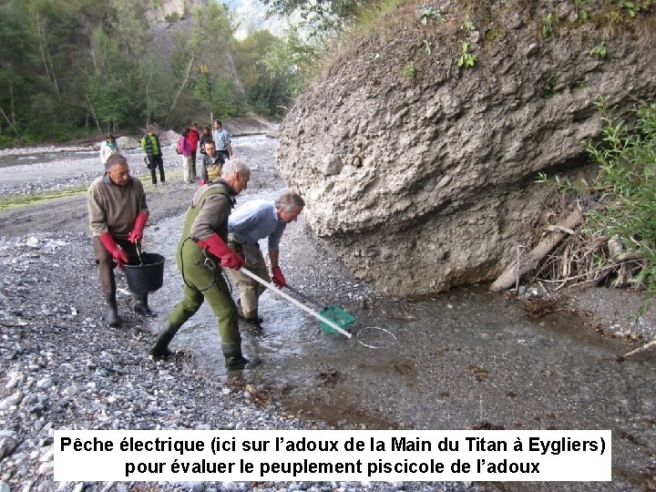 Pêche électrique (ici sur l’adoux de la Main du Titan à Eygliers) pour évaluer