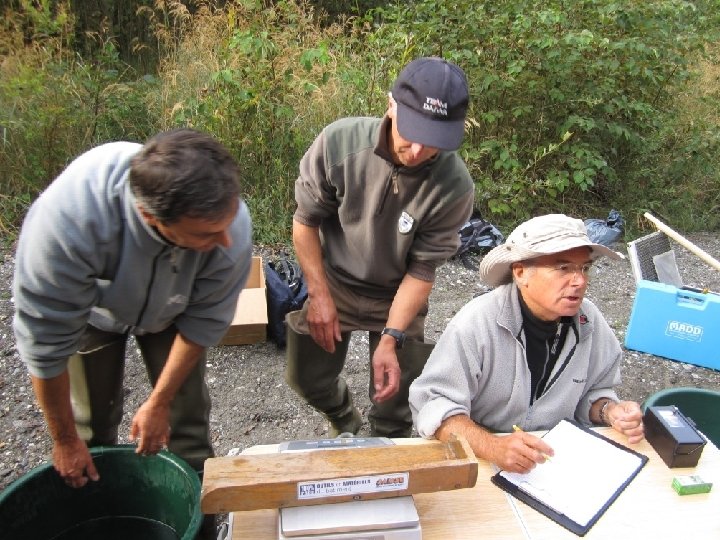 Pêche électrique (ici sur l’adoux de la Main du Titan à Eygliers) pour évaluer