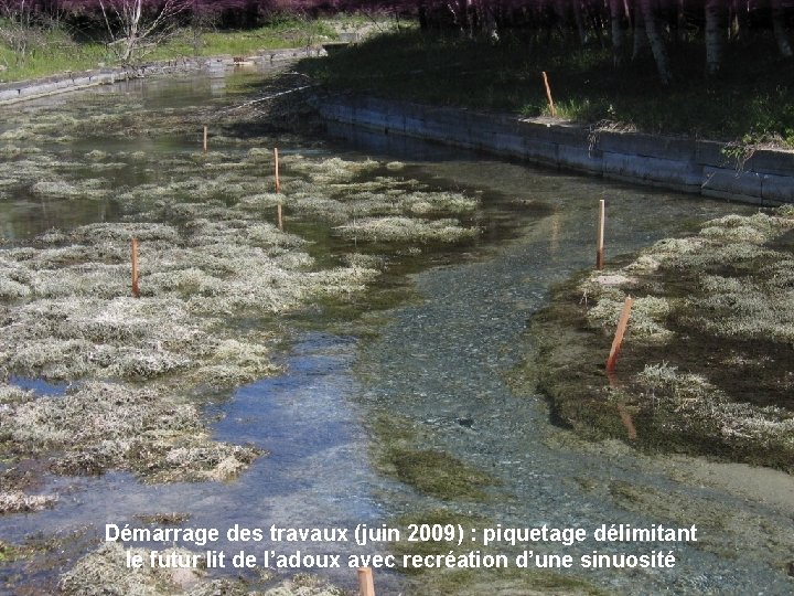 Démarrage des travaux (juin 2009) : piquetage délimitant le futur lit de l’adoux avec