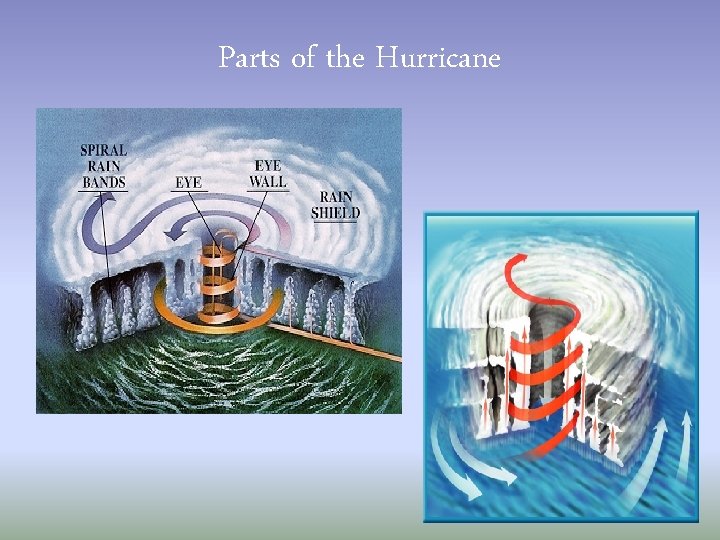 Parts of the Hurricane 