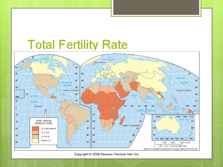 Total Fertility Rate 