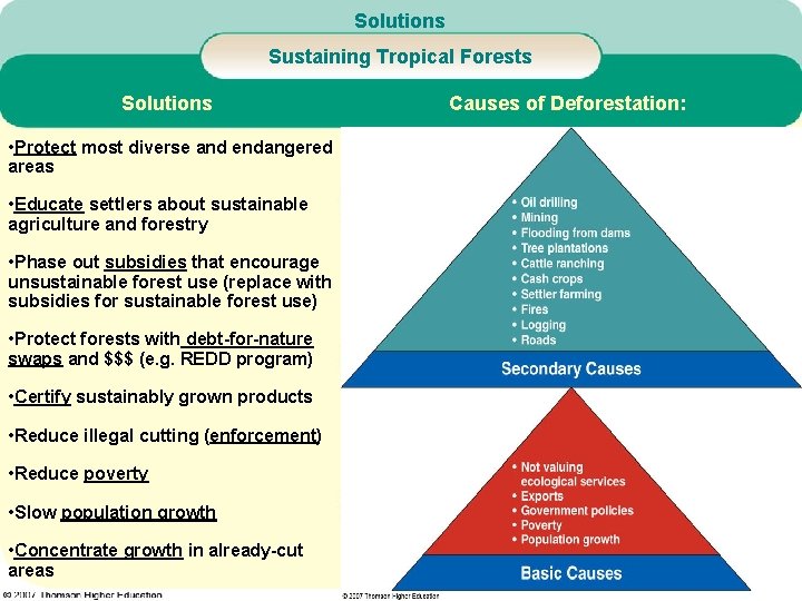 Solutions Sustaining Tropical Forests Solutions • Protect most diverse and endangered areas • Educate