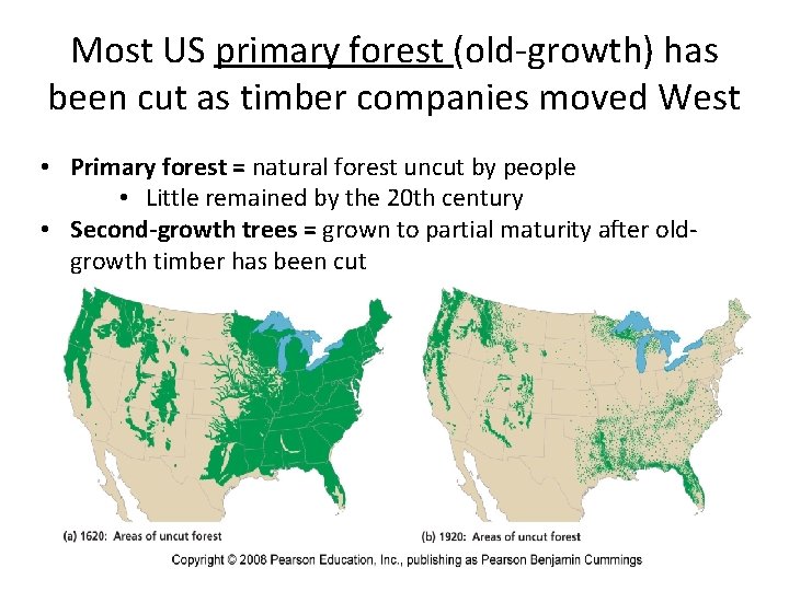 Most US primary forest (old-growth) has been cut as timber companies moved West •