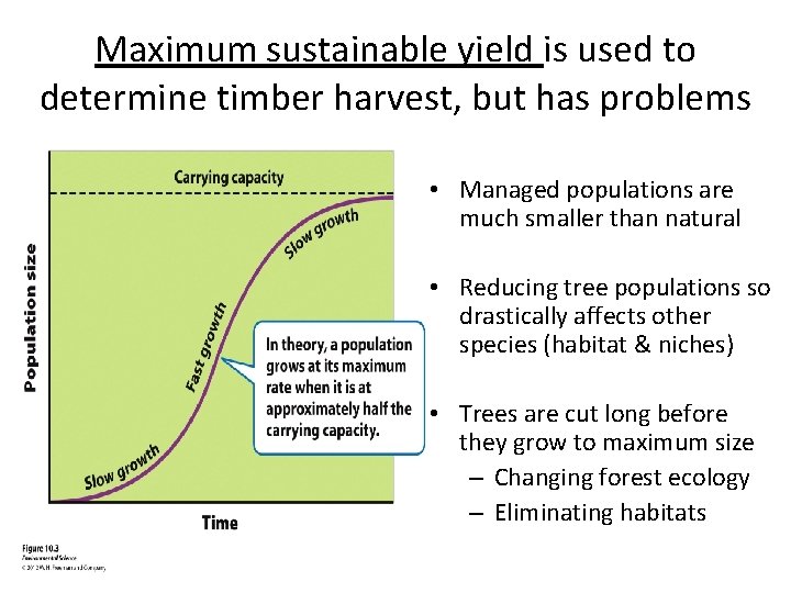 Maximum sustainable yield is used to determine timber harvest, but has problems • Managed