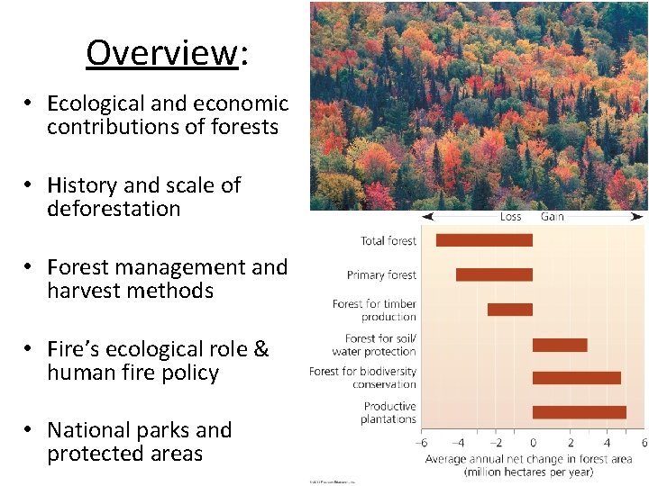 Overview: • Ecological and economic contributions of forests • History and scale of deforestation