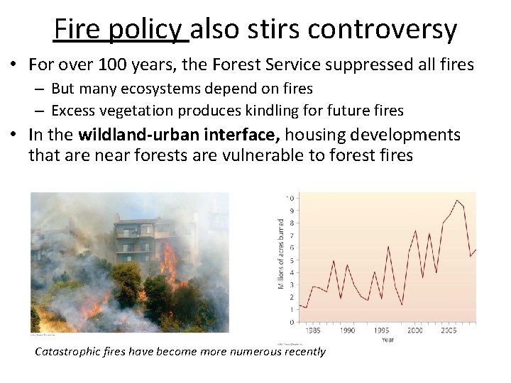 Fire policy also stirs controversy • For over 100 years, the Forest Service suppressed